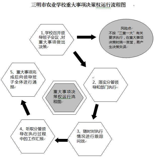 完美在线(中国)重大事项决策权运行流程图.JPG